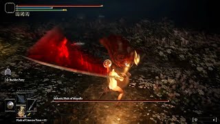 Parry This, You Filthy Casual Elden Ring