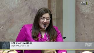 2025 Regular Session - Day 27 - Comments on HB 90, Rep. Vanessa Grossl