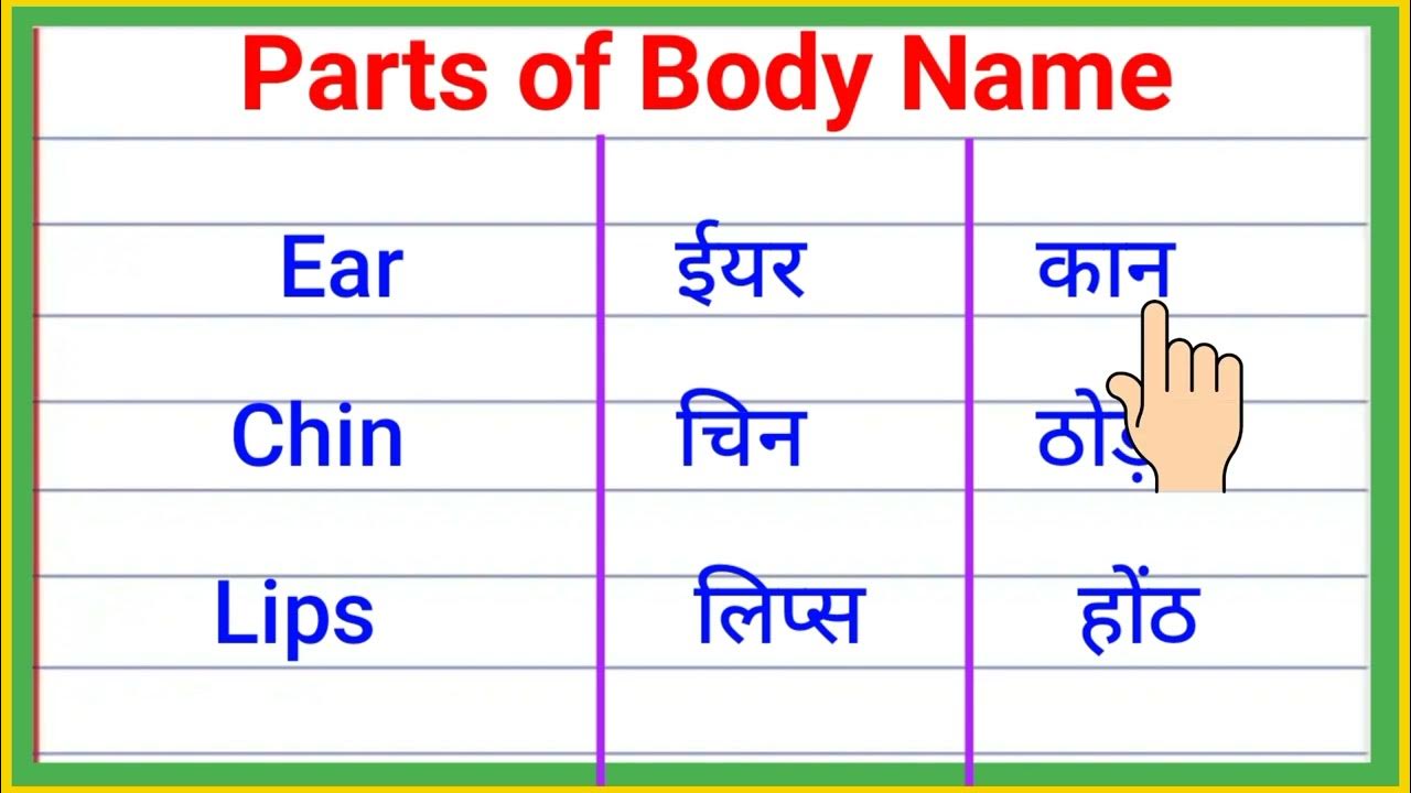 Part Of Body Name Hindi And English Sharir Ke Angon Ke Naam part-of-body-name-hindi-and-english-sharir-ke-angon-ke-naam