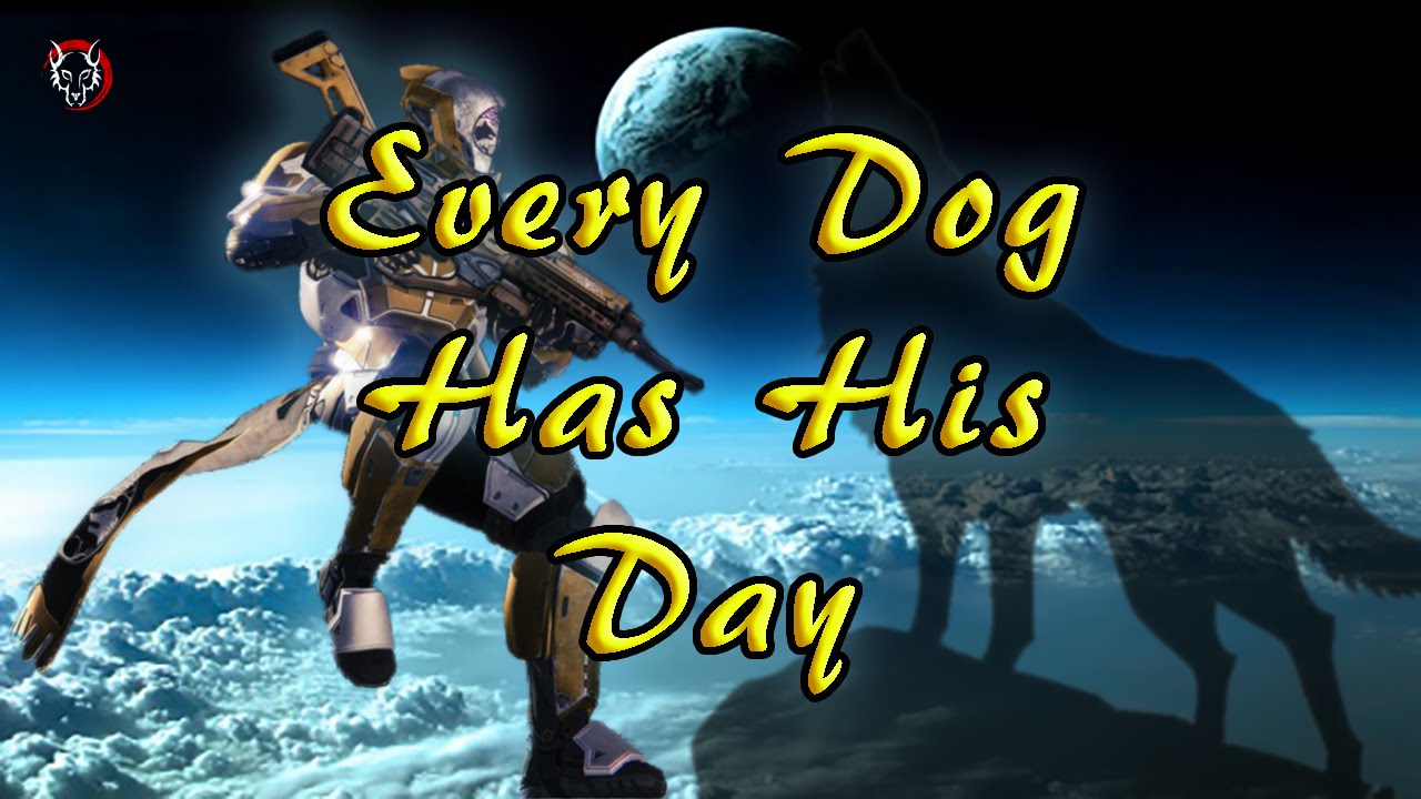 DESTINY Every Dog Has His Day with Dads' Doghouse