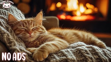 Soothing Music for Anxious Cats 🐾 Calming Sound & Cozy Atmosphere for Relaxation and Deep Sleep