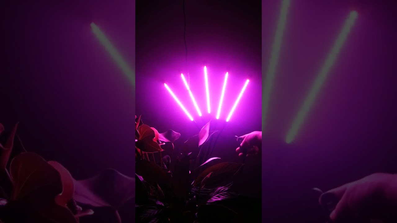 Grow Light for Indoor Plants with Full Spectrum & Red Blue Spectrum 9 Dimmable Level