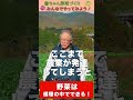 野菜は肥料がなくてもできる！？【おうちで元気な無農薬野菜を育てよう】 #shorts