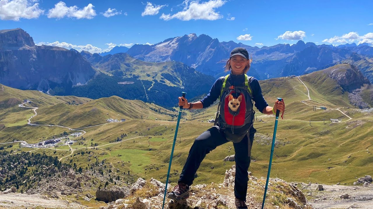giro del Sassolungo..rifugio Demetz rifugio Vicenza rifugio Comici ......spettacolo per gli occhi❤️🐶