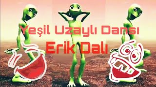 Yeşil Uzaylı Erik Dalı