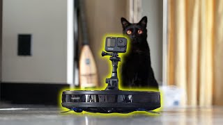 Cat vs Robot Vacuum