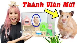 Chị Vê Đi Mua Chuột Hamster Siêu Dễ Thương - Vê Vê Animal