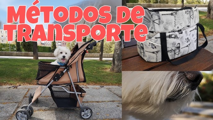 Barrera de red para coche para perros para una conducción segura, protector  ajustable para perros en JM