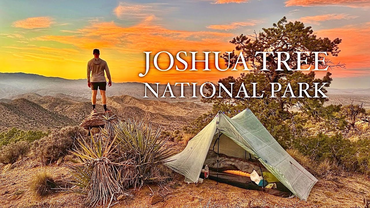 WILD CAMPING in Joshua Tree National Park