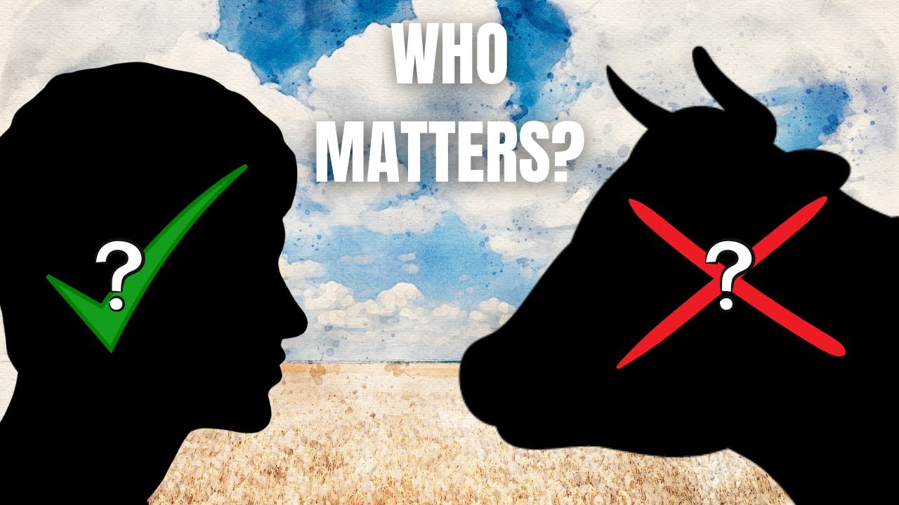 Who Matters? What is real? Big questions with Jamie Woodhouse