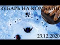 ЗУБАРЬ 23.12.2020! РЫБАЛКА НА КОМБАЙНЫ.