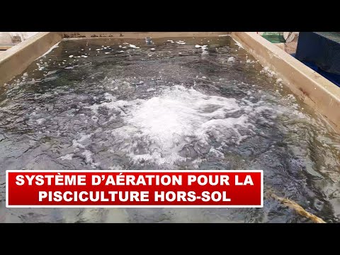 Vidéo: À quoi sert l'aération d'une piscine ?