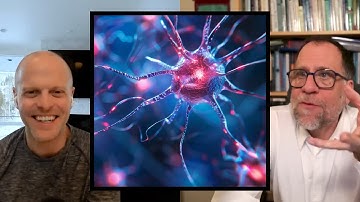 What Scientists Get Wrong About Consciousness | Tim Ferriss and John Vervaeke