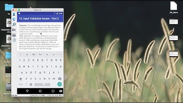 13.  Input Validation in LibraryFile App crash via Bufferoverflow - DIVA Solution