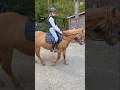 Vandaag op rolo weer! Met juf minne niet robina. #music #horse #equestrian #ihavethisthingwithit