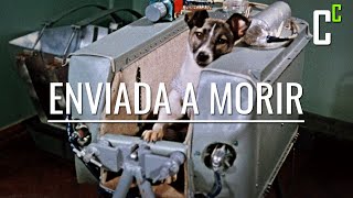 El primer ser muerto en orbitar la tierra: Laika