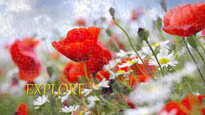 Have a fun with Magic Jigsaw 5000+ !