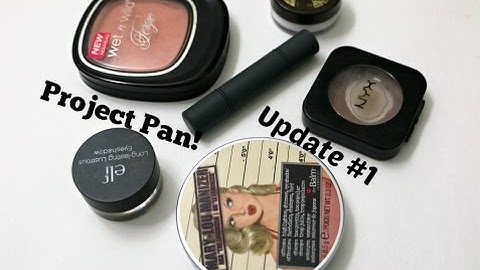 PROJECT PAN UPDATE!  #1  2017