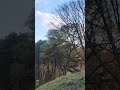 가을 Autumn #gyeongjutravel