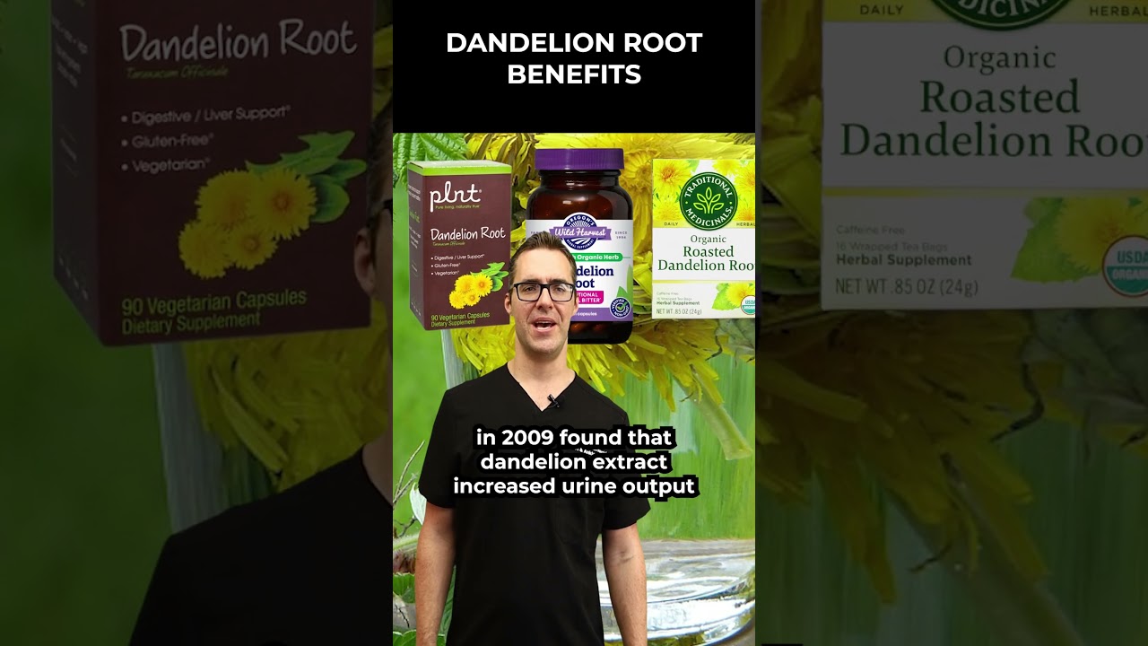 Dandelion Root Benefits [Side Effects? Pills, Powder, Roasted Tea]