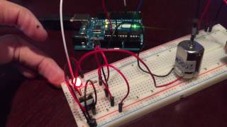 EE Final Project