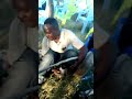 DAUD NYAGANCHA BOKENYE BALANGA DAUD NYAGANCHA BOKENYE BALANGA