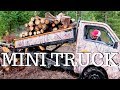 We got a MINI TRUCK- how much wood can it hold?