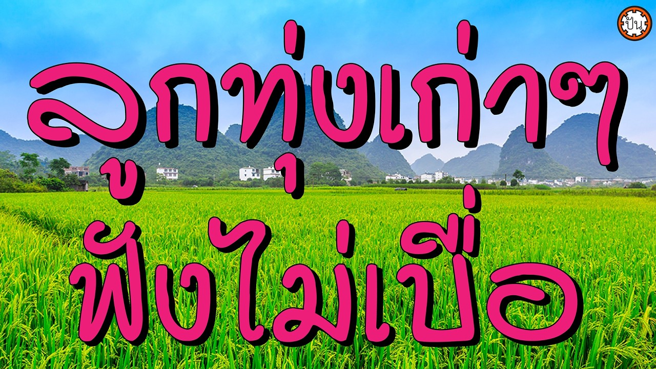 ลูกทุ่งเก่าๆ ฟังไม่เบื่อ เพลงเพราะหาฟังยาก #ลารักจากสวนแตง #ไหนว่าจะจำ #คอยน้อง