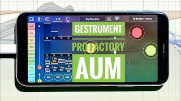 FACTORS - GESTRUMENT PRO with Sugar Bytes FACTORY in AUM