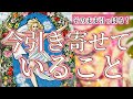 《もう見えてる?》🌈今あなたが引き寄せていること【ルノルマン】