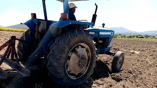 Cultivando caña de Azúcar en el estado de Morelos(Preparación del suelo (surcar))