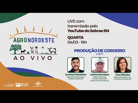 Produção De Cordeiros