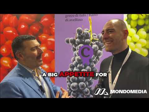Mondo Export AI Demo #1 | Vinsi, Wine Story Unveiling the Taste of Naples