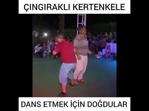 ÇINGIRDAKLI KERTENKELE