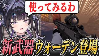 【 VALORANT 】新パッチ調査。ACEでご機嫌!?新武器に評価システムまで変わってて新鮮!【にじさんじ / 千凛あゆむ】