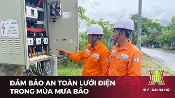 Đảm bảo an toàn lưới điện trong mùa mưa bão | Tin tức