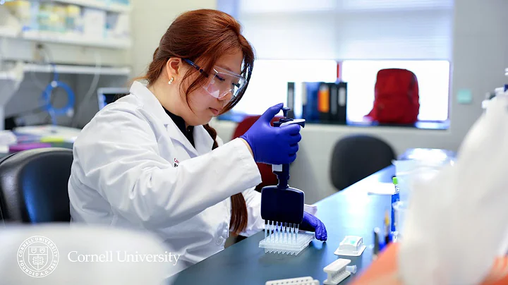 Research at Risk: Comprehensive Diagnostics For Tick-Borne Diseases