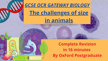 GCSE OCR Biology The challenges of size in animals Complete Revision in 16 Min  | OCR Gateway