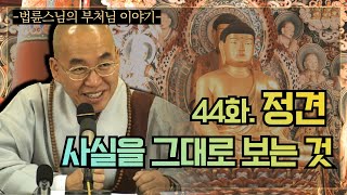 [법륜스님의 부처님 이야기] 44. 정견 사실을 그대로 보는 것