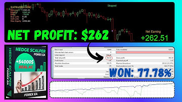 Hedge Scalper EA Review | MT4 Forex Hedging & Scalping Robot