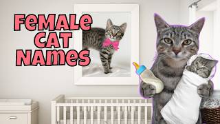 25 Rare & Unique Female Cat Names You'll LOVE