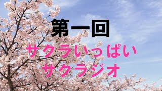 第一回サクラいっぱいサクラジオ