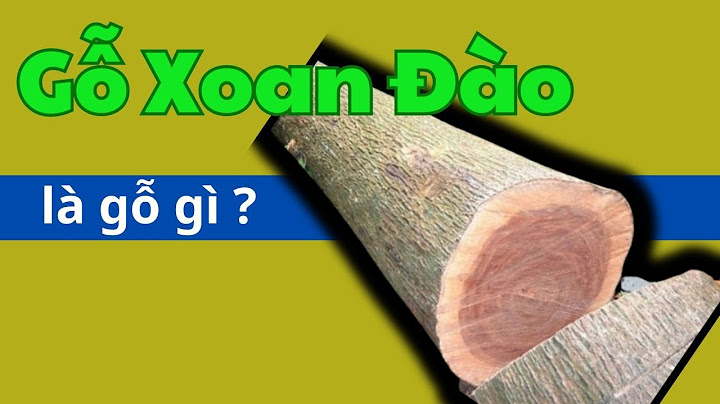 So sánh gỗ xoăn đào v à căm xe năm 2024