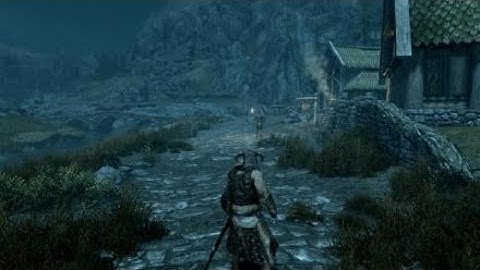 Dual Wielding Run Animation Glitch With Shield