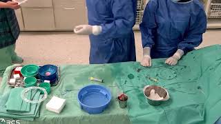 Shockwave Reducer Implantation Procedure with Acuity Pro