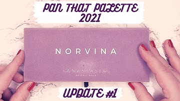 PAN THAT PALETTE 2021 UPDATE #1 I PROJECT PAN UPDATE I ABH NORVINA PALETTE