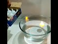 Video Image