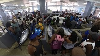 Fisherman’s Day  celebration 