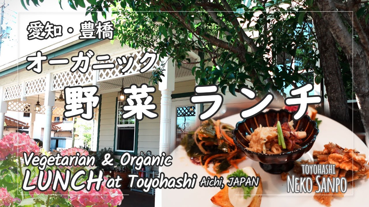 【AICHI JAPAN】Enjoy PLANTS in Toyohashi ～ Vegetarian & Organic Café Lunch & Hydrangeas ～