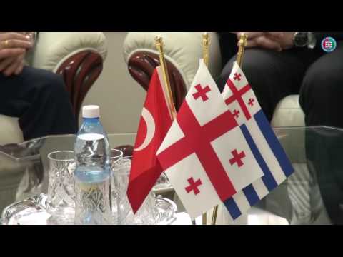 დავით გაბაიძე იასინ თემიზქანს შეხვდა
